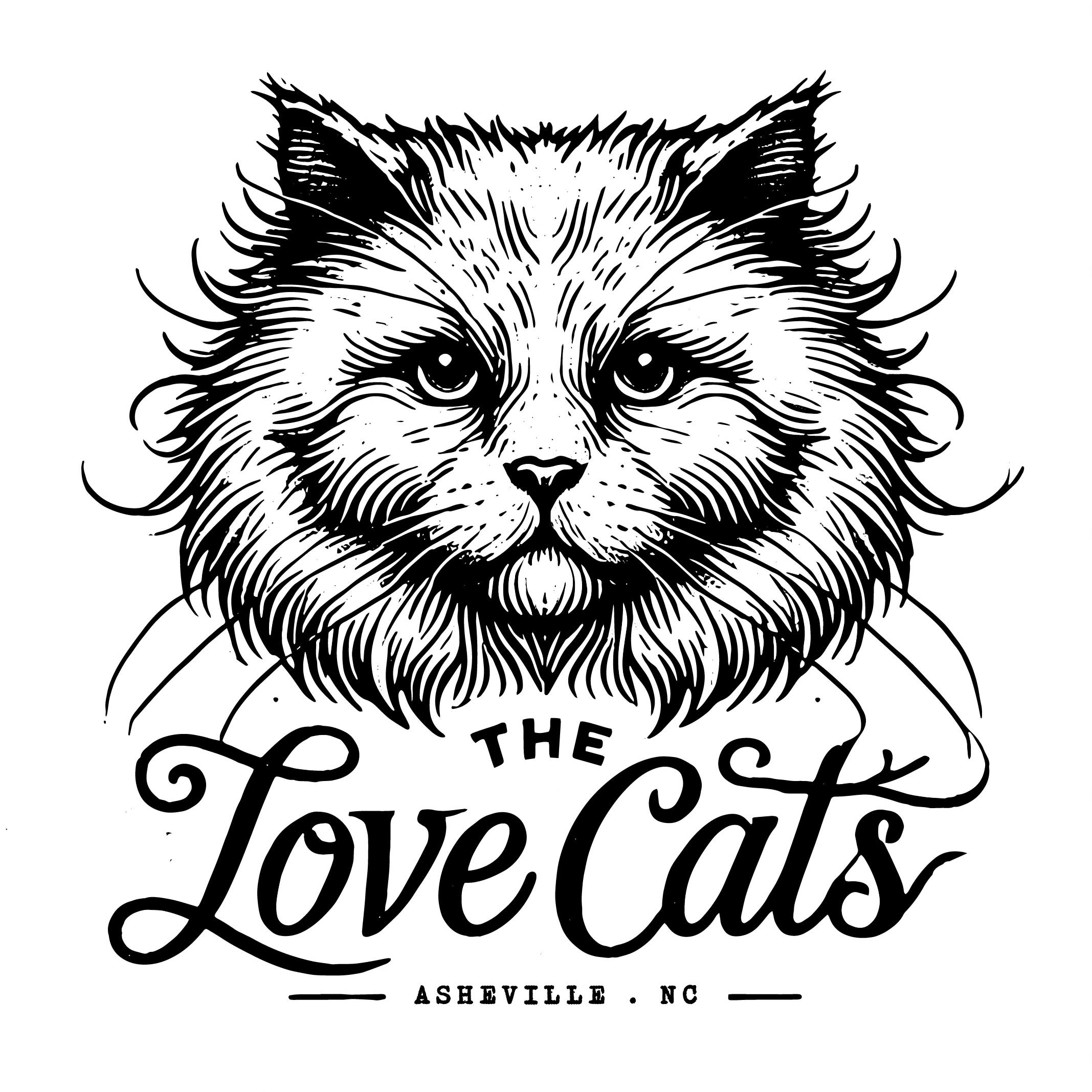 The Love Cats ♡ページ 7YVEI3LMLMMGFXJ5WPSJE3CM.jpeg